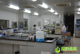 养乐多工厂体验 健康科普与亲子休闲的完美融合